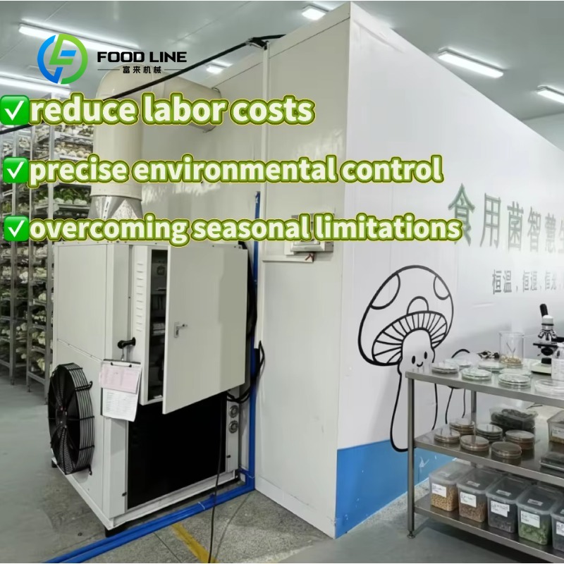 Agriculture Farming Technology - ระบบปลูกพืชในโรงเรือนเทคโนโลยีใหม่ที่ปรับแต่งได้สำหรับฟาร์มเพาะเห็ดทางการเกษตรและการเพาะปลูกเชิงพาณิชย์