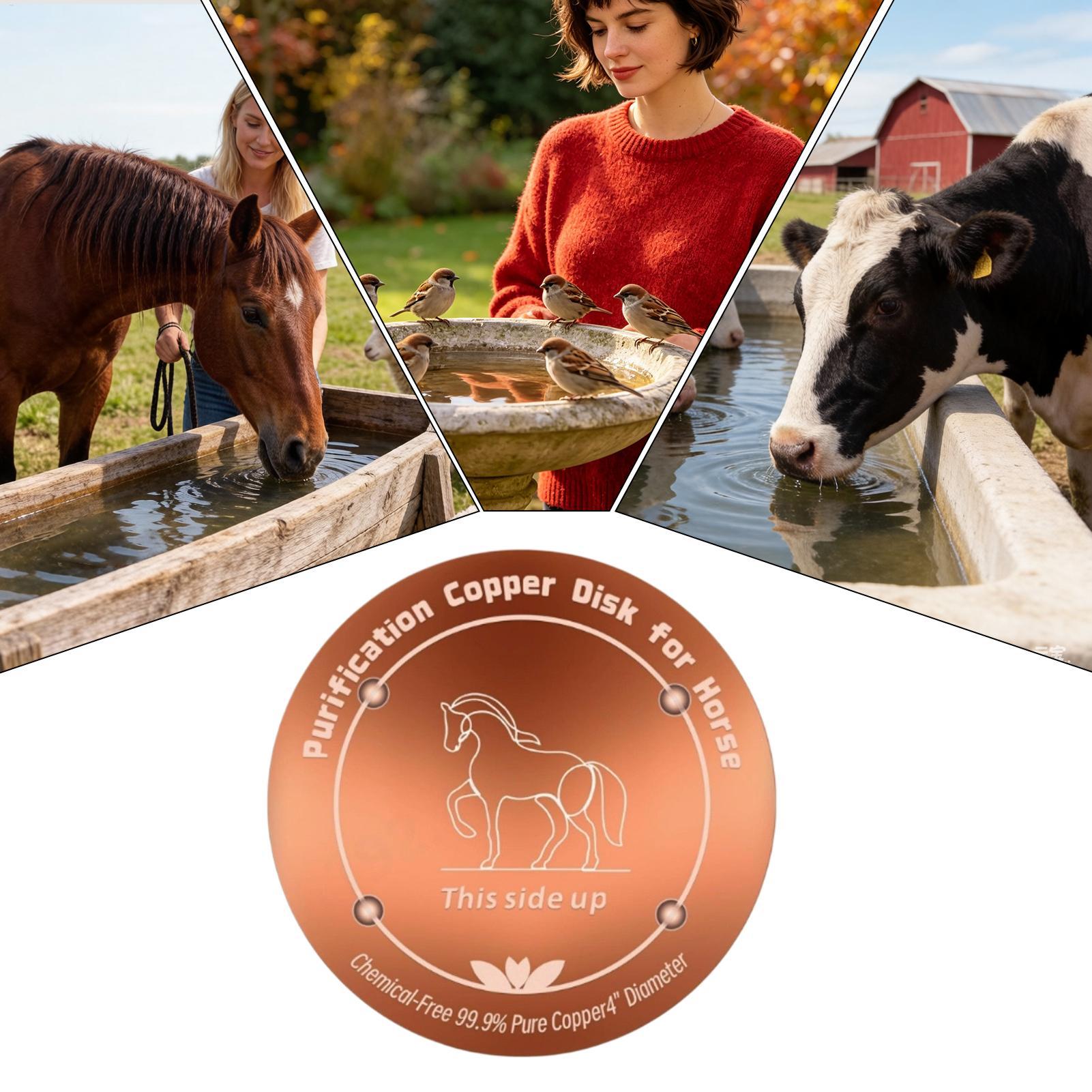 Farming A - แผ่นกรองน้ำทองแดงขนาด 4 นิ้วสำหรับรางน้ำวัว แผ่นกรองน้ำทองแดงสำหรับน้ำดื่ม เหมาะสำหรับอ่างน้ำนกกลางแจ้งทุกฤดูกาล