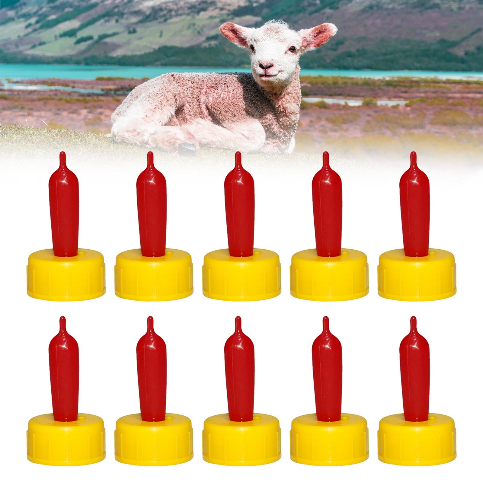 จุกนมยางนิ่มสำหรับแกะ แพะ ลูกแ - Agriculture Goat Farming บทวิจารณ์และราคา