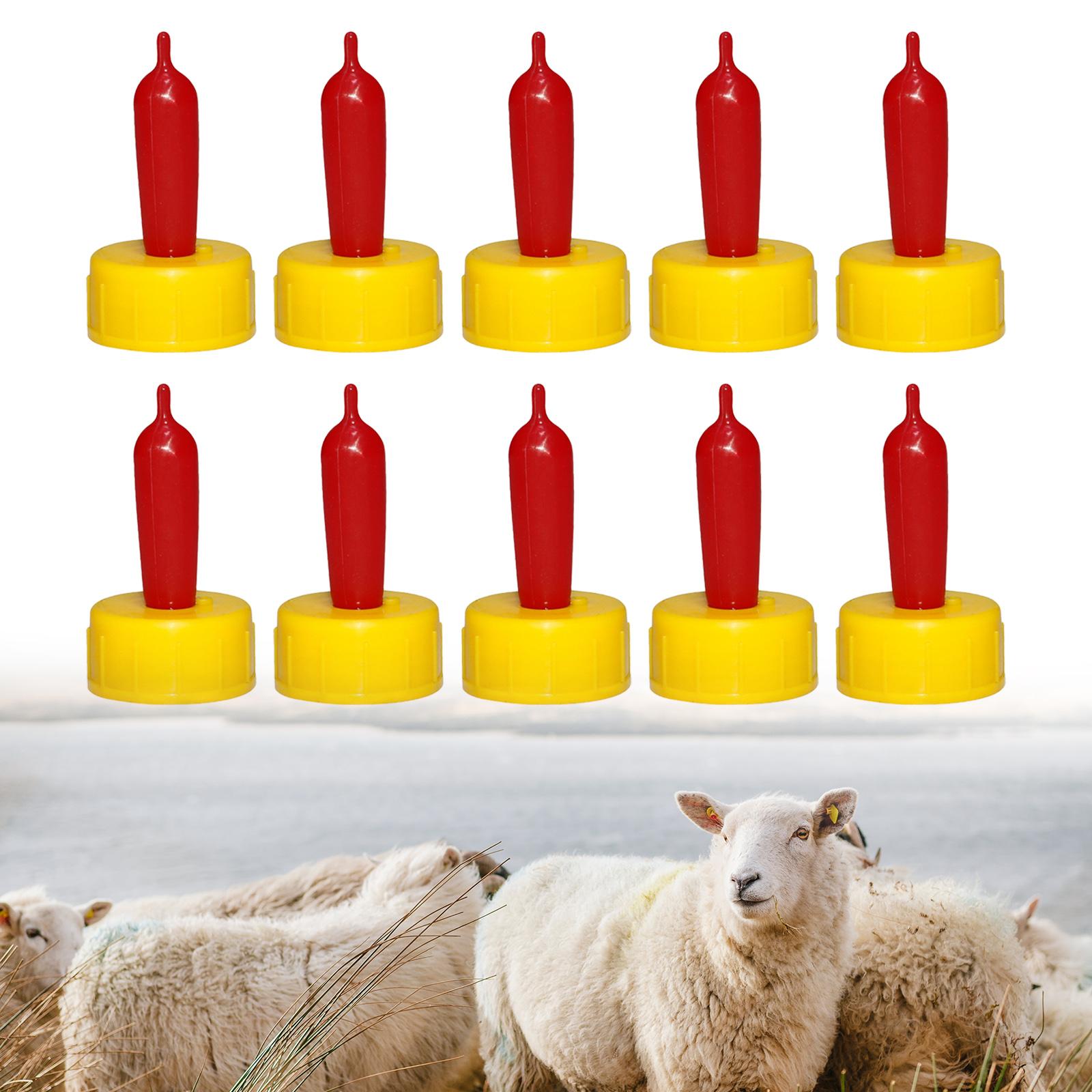 จุกนมยางนิ่มสำหรับแกะ แพะ ลูกแ - Agriculture Goat Farming บทวิจารณ์และราคา