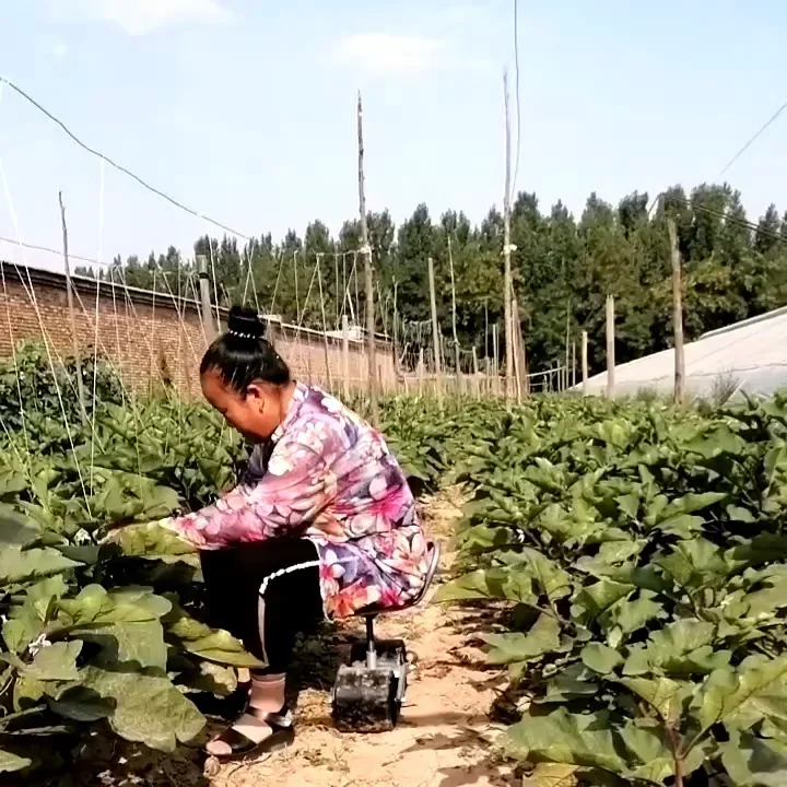 ม้านั่งทำงานแบบหมุนได้ 360 องศ - Agriculture Farming Degree บทวิจารณ์และราคา