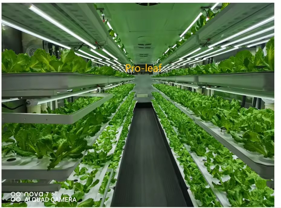 อุปกรณ์การเกษตรในโรงเรือนเพาะเ - Agriculture Farming Equipments บทวิจารณ์และราคา
