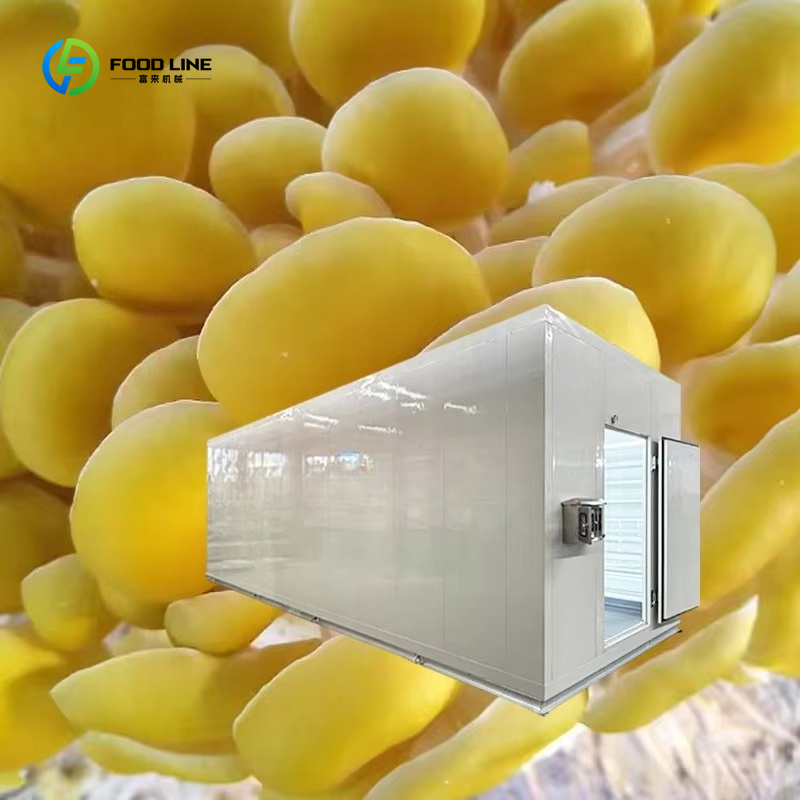 เทคโนโลยีการปลูกเห็ดอัจฉริยะด้ - Agriculture Farming Technology บทวิจารณ์และราคา