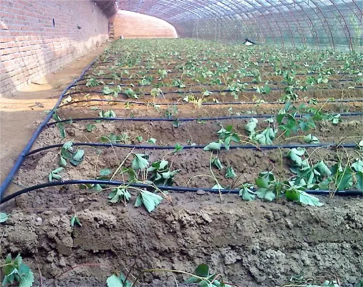 ชุดอุปกรณ์ให้น้ำ 1HA สำหรับการ - Agriculture Farming Hand Tools บทวิจารณ์และราคา