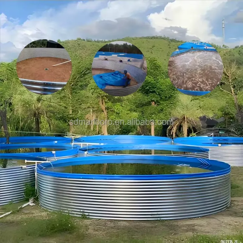 สระน้ำผ้าใบกันน้ำ SDM สำหรับถั - Farming Agriculture Stocks บทวิจารณ์และราคา