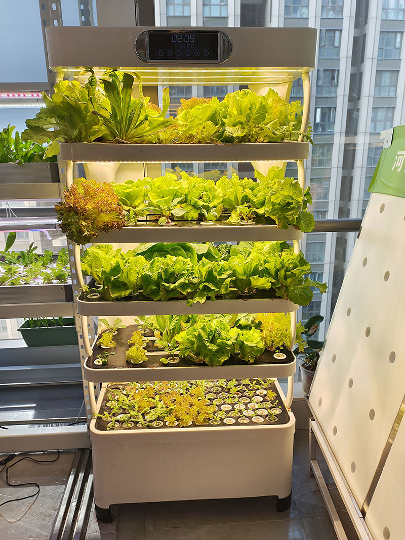 เครื่องจักรการเกษตรสำหรับปลูกผ - Agriculture Farming Equipments บทวิจารณ์และราคา
